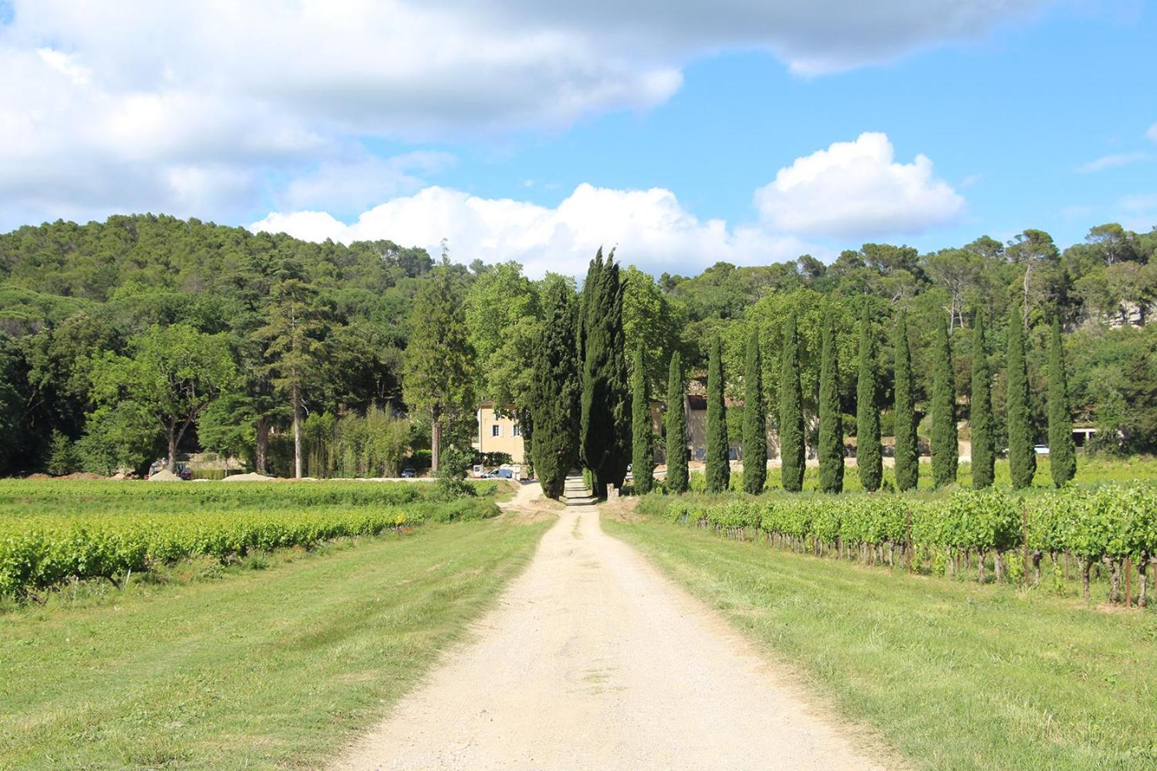 Chateau De L'Olivete Cornillon Exterior photo